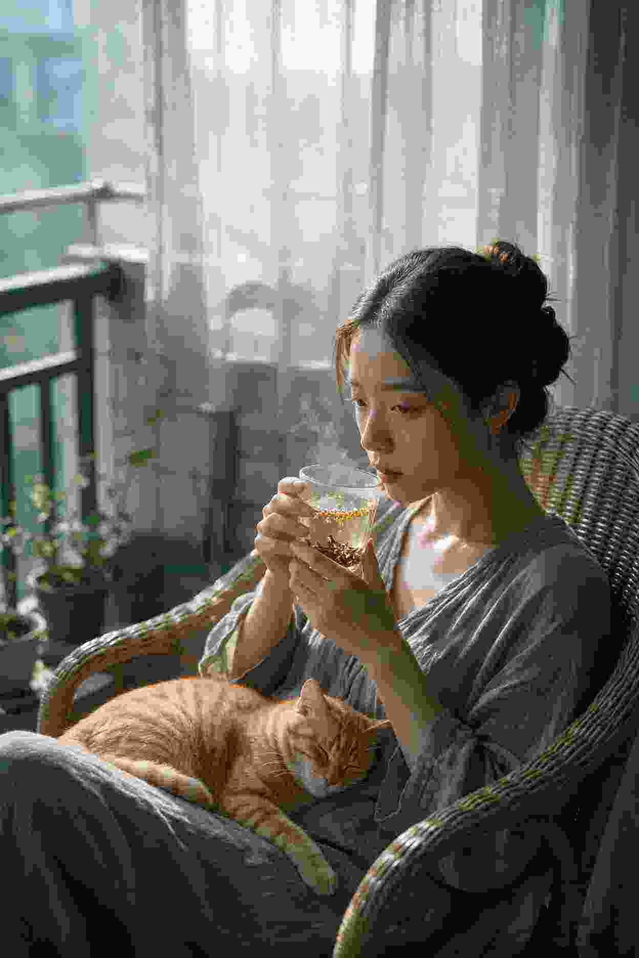 苍兰诀